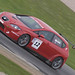 Steve Mitchell Photo 9