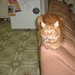 Max Chance Photo 10