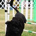 Kathy Simmons Photo 14