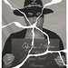 Clem Cook Photo 8