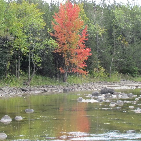 Jim Snell Photo 13