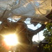 Debra Temple Photo 28