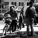 David Grass Photo 4