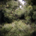 Ruby Weis Photo 6