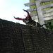 Maxwell Lewis Photo 10