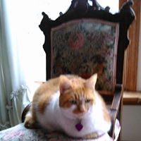 Nancy Robinson Photo 32