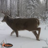 Richard Kranz Photo 15
