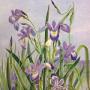 Sharon Burt Photo 36