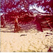Jerry Goode Photo 17
