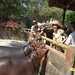 Loan Dinh Photo 23