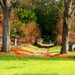 Troy Lane Photo 35