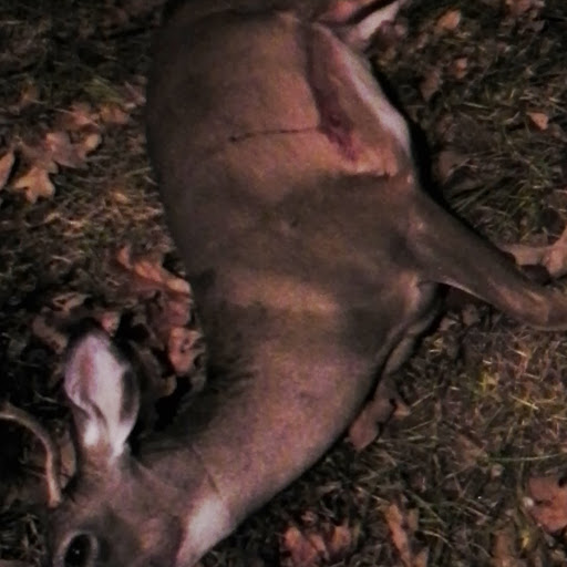 Hunter Mcdaniel Photo 4