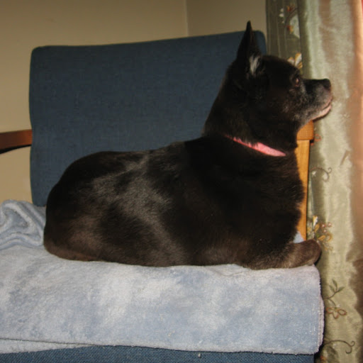 Gail Shelton Photo 5