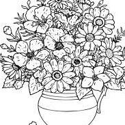 Allene Johnson Photo 22
