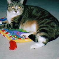 Mary Meissner Photo 17
