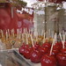 Debbie Estes Photo 28
