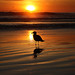 Jonathan Huntington Photo 15