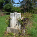 Nicholas Roger Photo 10