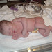 Vicki Weber Photo 34