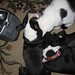 Tina Gooch Photo 13