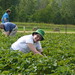 Nancy Pemberton Photo 24