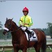 Pat Haskell Photo 14
