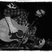 William Fitzsimmons Photo 33