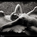Joy Strong Photo 27