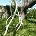 Steven Tobin Photo 38