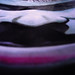 Alan Hartmann Photo 15