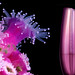 Deborah Shine Photo 14