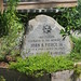 John Pierce Photo 26