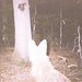 Tirrell North Photo 11