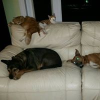 Randy Hooper Photo 3