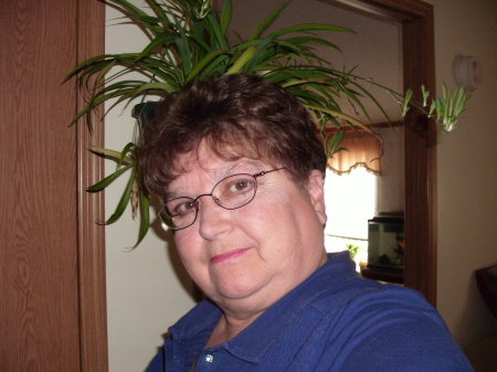 Diane Thomas Photo 17