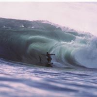 Michael Crisp Photo 37