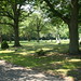 Helen Higgins Photo 37
