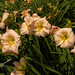 Barbara Stout Photo 16