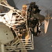 Robin Curtis Photo 34