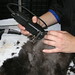 Jamie Groom Photo 9