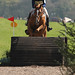 David Llewellyn Photo 22
