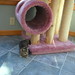 Debby Hunter Photo 20