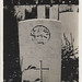 Robert Samuels Photo 26