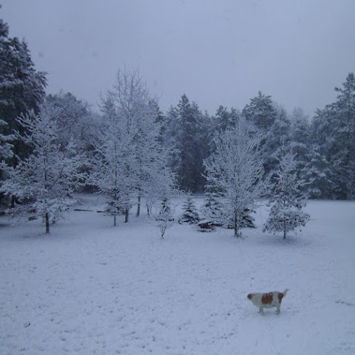 Cindy Singleton Photo 33