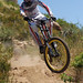 Kevin Ellsworth Photo 24