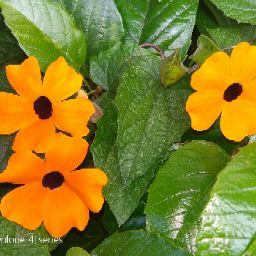 Luz Martin Photo 4