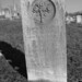 Elizabeth Schaffer Photo 27