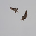 Craig Short Photo 9