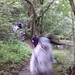 Dean Brooks Photo 29