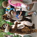 Carol Oliver Photo 25